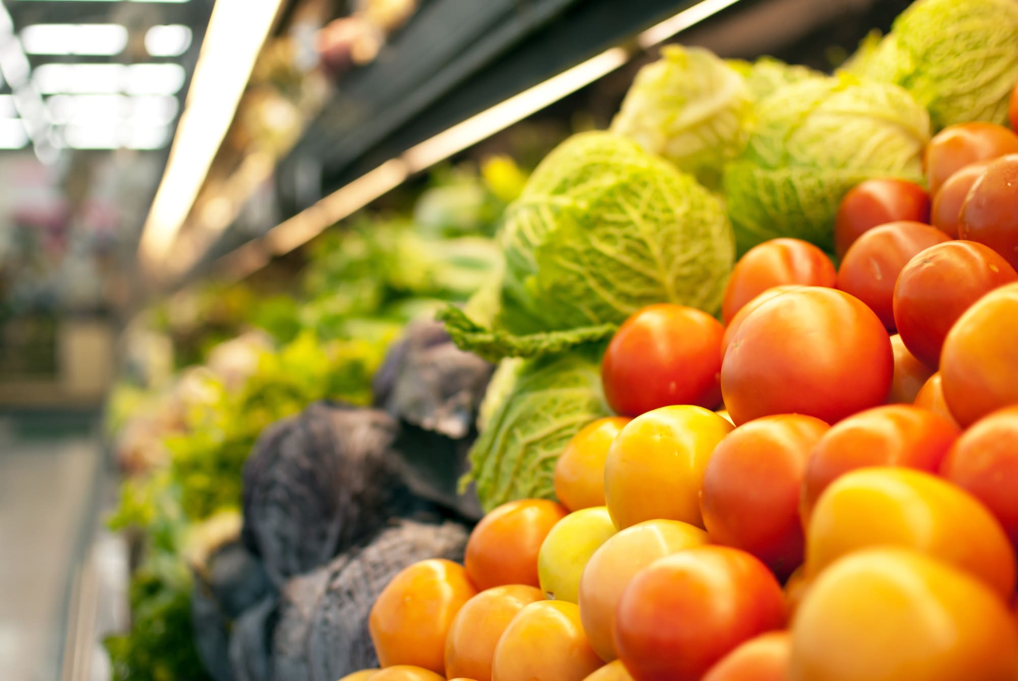 生活扶助(食費・光熱費など)