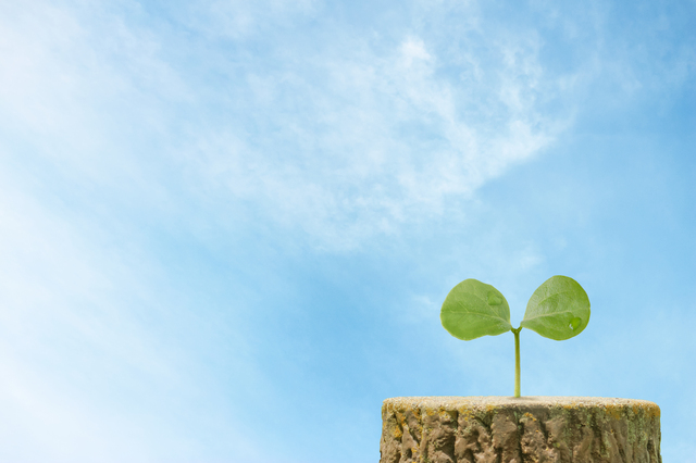住宅扶助の特別基準